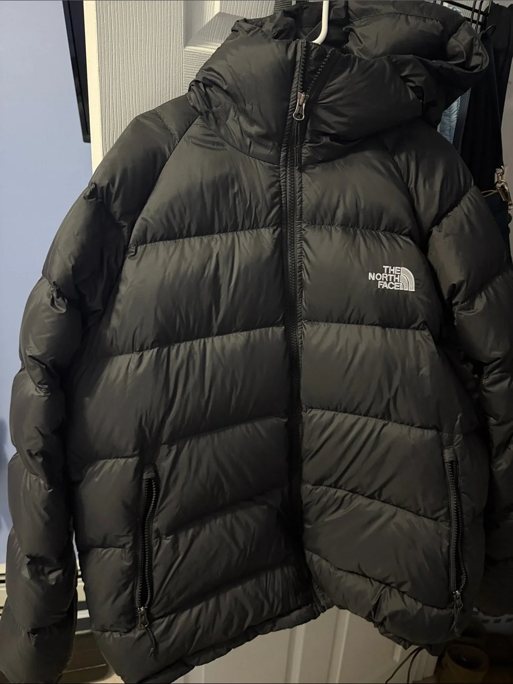 Men’s North Face Hydrenalite Down Coat